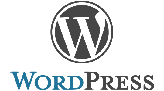 WordPress is a powerful tool. Triple its power with SEO from First Page Hong Kong