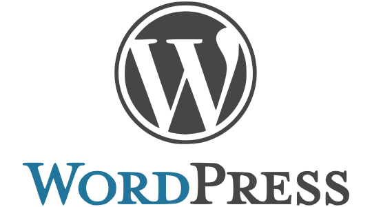 WordPress is a powerful tool. Triple its power with First Page Hong Kong's WordPress SEO experts.